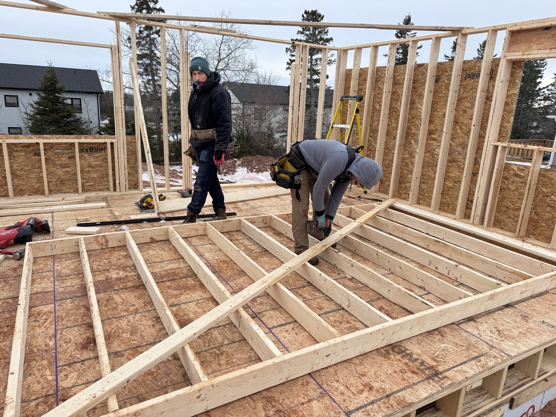 46 Emily Drive - Interior finishing work